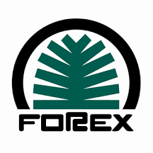 FOREX