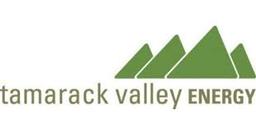 TAMARACK VALLEY ENERGY (NON-CORE VIKING AREA ASSETS)