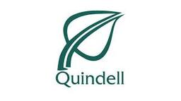 QUINDELL PLC