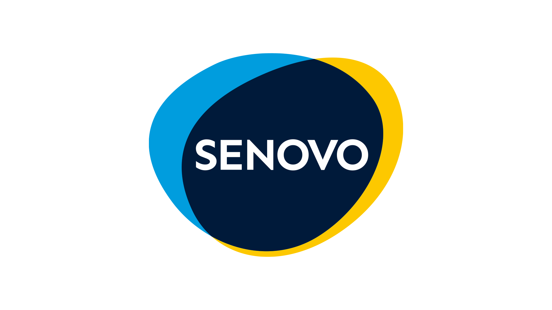 Senovo Capital Management