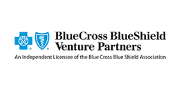 BLUECROSS BLUE SHIELD VENTURE PARTNERS