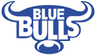 Blue Bulls Company