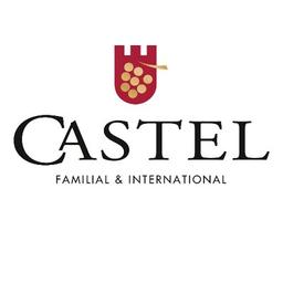 CASTEL GROUP