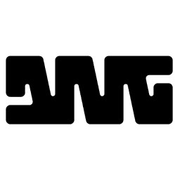 DIGITAL NATIVE GROUP (DNG)