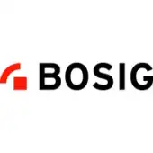 Bogis (spanish Business)
