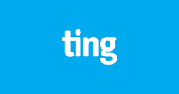  TING FIBER