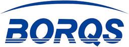 BORQS (ODM AND SOFTWARE SERVICES BUSINESS)
