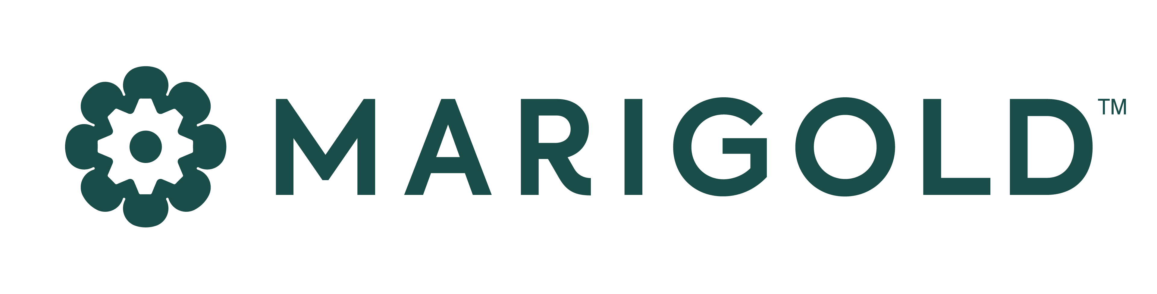 MARIGOLD (ENTERPRISE SOFTWARE BUSINESS)
