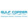 Gulf Copper & Manufacturing (shipbuilding Assets In Galveston And Port Arthur)