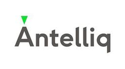 ANTELLIQ GROUP