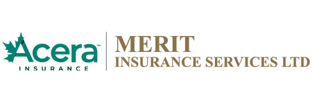 Merit Insurance Services