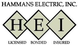 HAMMANS ELECTRIC INC