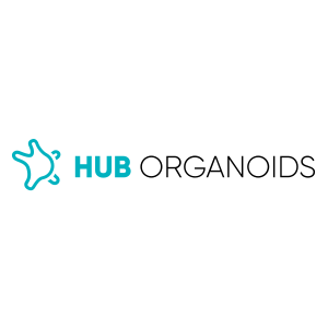 HUB ORGANOIDS