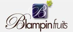 BLAMPIN