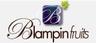 BLAMPIN