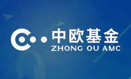 Zhoug Asset Management