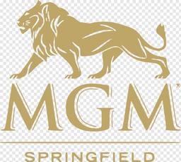 Mgm Springfield