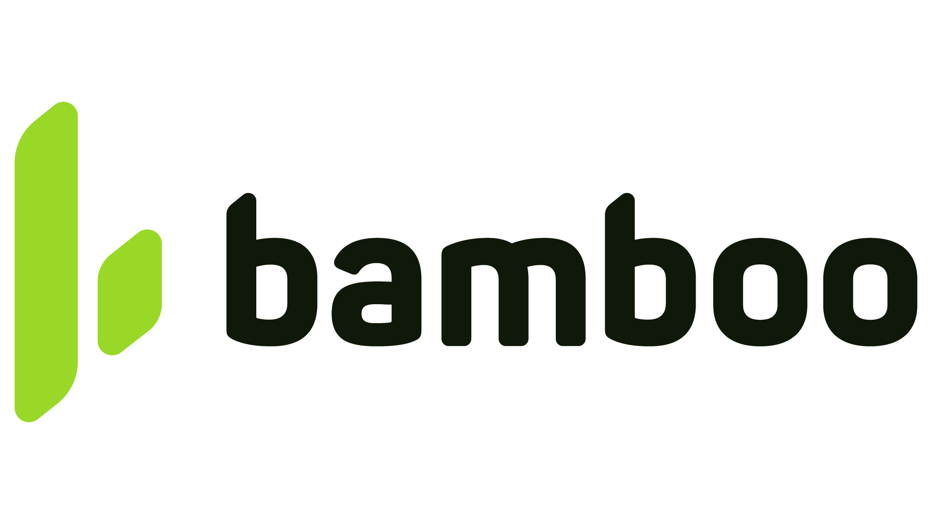 Bamboo Payment Systems