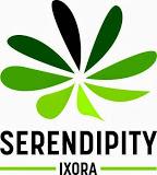 Serendipity Ixora