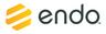 Endo (international Pharmaceuticals Business)