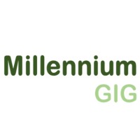 MILLENNIUM GREEN INVESTMENTS