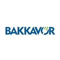 BAKKAVOR (CHINA OPERATIONS)