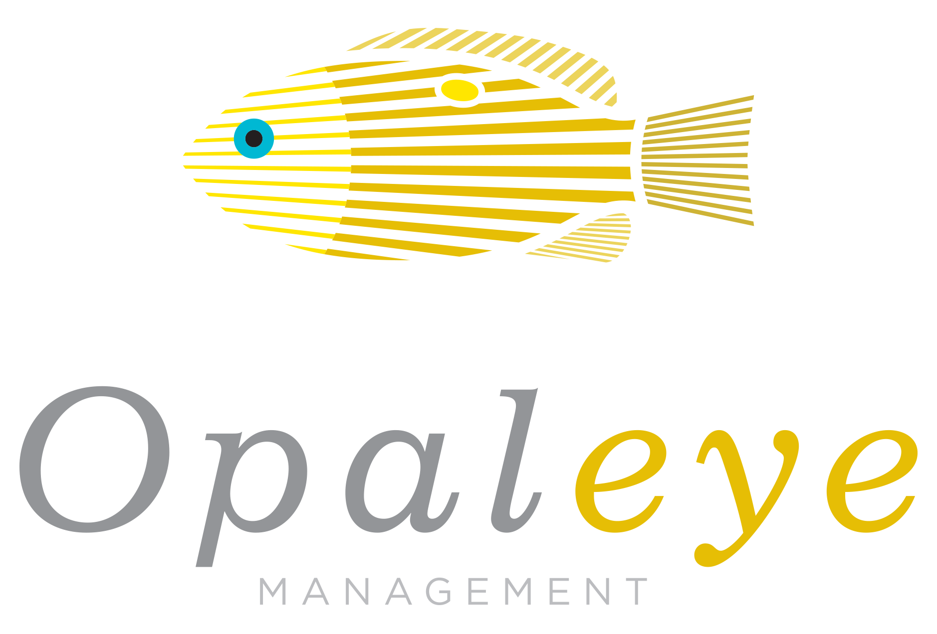 OPALEYE MANAGEMENT