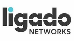 LIGADO NETWORKS (LONG-TERM SPECTRUM ACCESS)