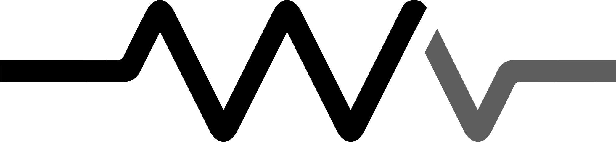 WVV CAPITAL