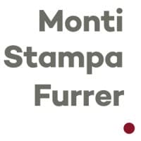 MSF PARTNERS AG (MONTI STAMPA FURRER & PARTNERS)