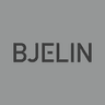 Bjelin Group