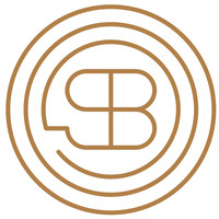 SPRING BRIDGE PARTNERS