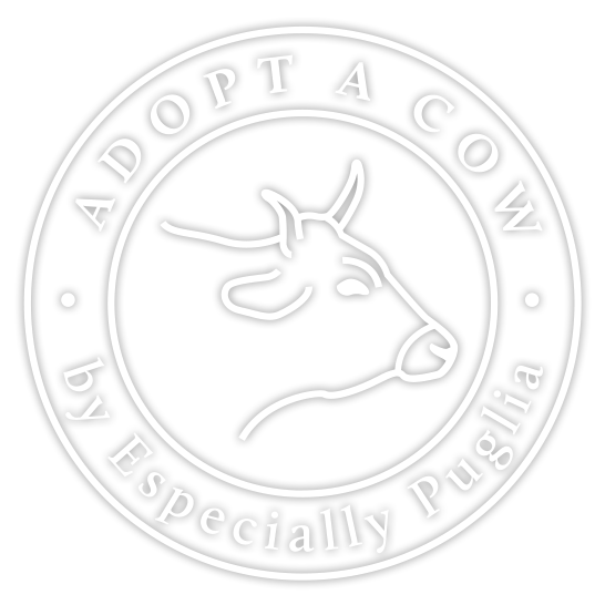 Adopt A Cow