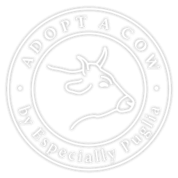 ADOPT A COW