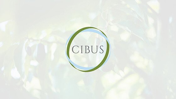 CIBUS CAPITAL