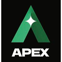 APEX SECURITY