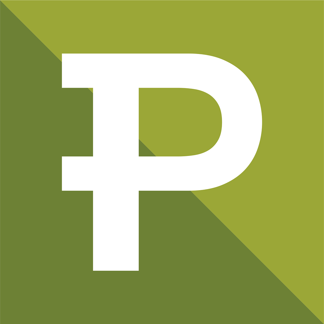 Paribu Holding