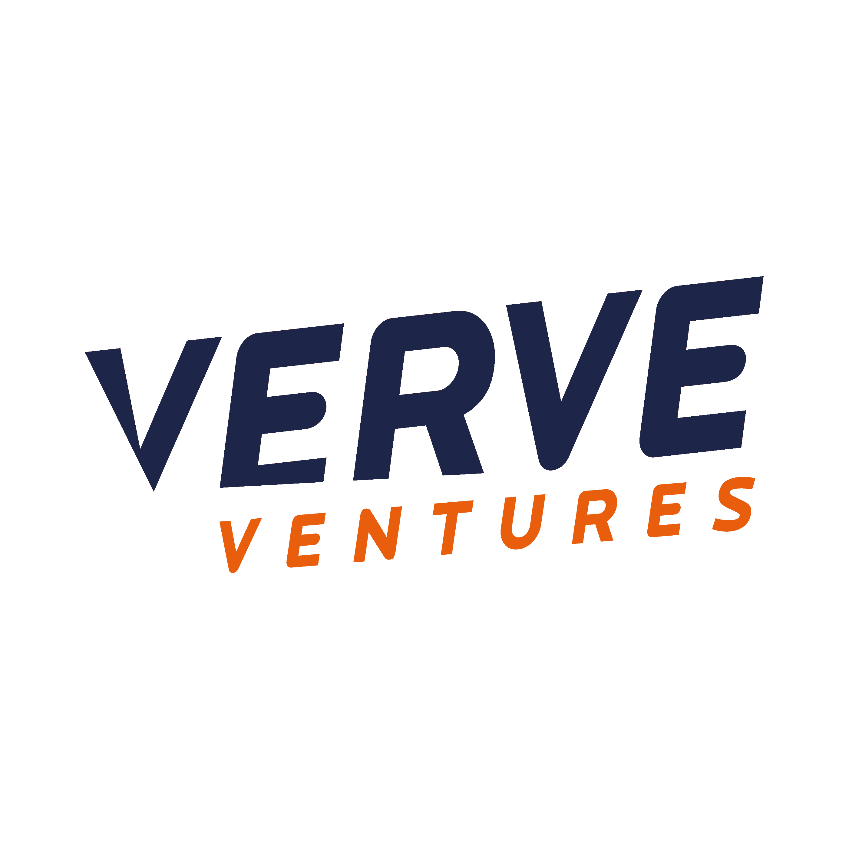 VERVE VENTURES