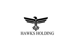 HAWK HOLDING COMPANY