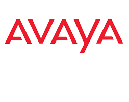 AVAYA INC