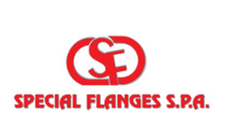 SPECIAL FLANGES