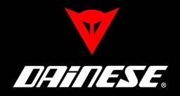 DAINESE GROUP