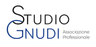 studio gnudi