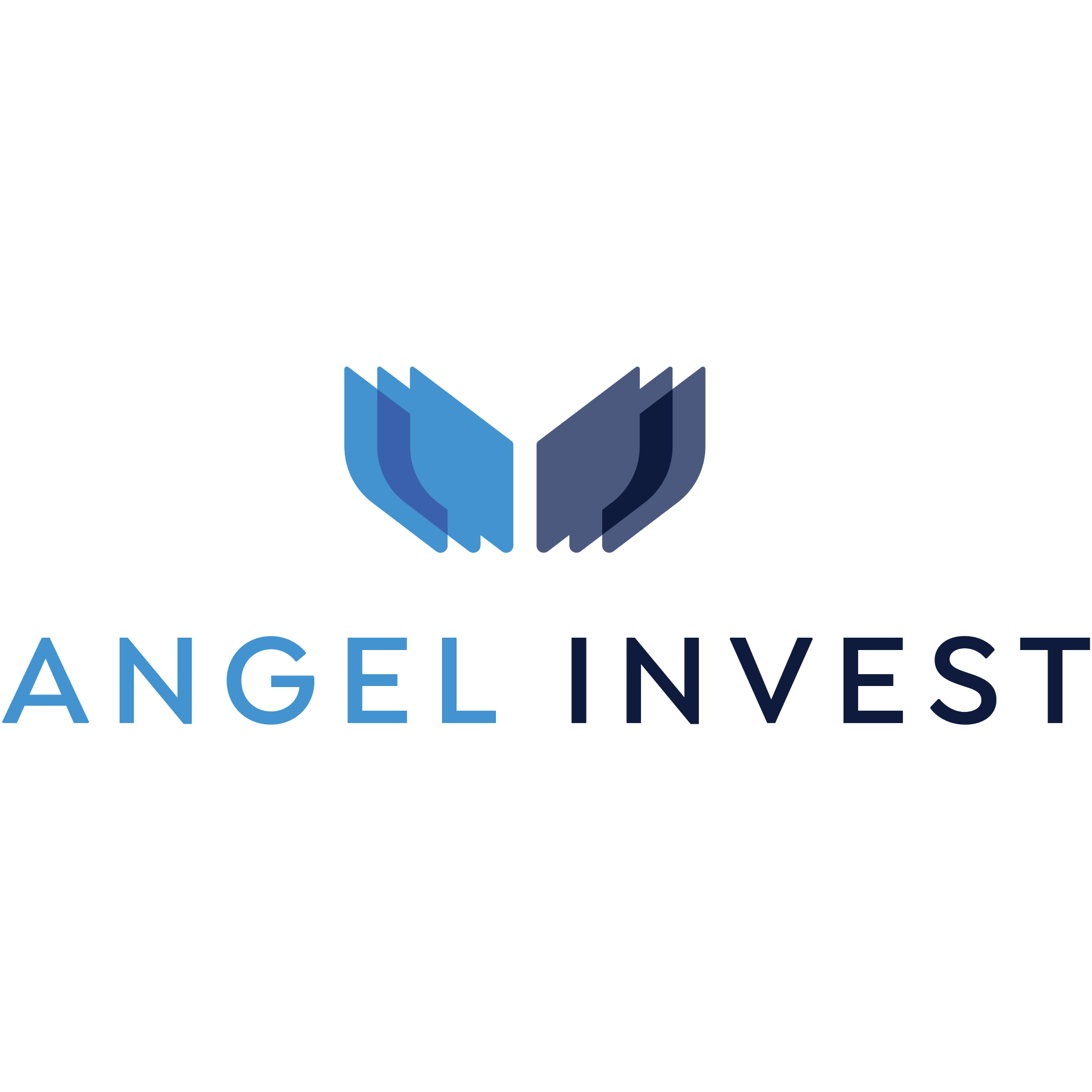 ANGEL INVEST