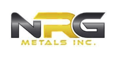 NRG METALS ARGENTINA SA
