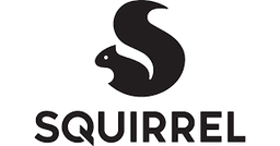 SQUIRREL SYSTEMS INC
