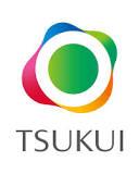 TSUKUI HOLDINGS CORPORATION