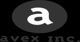 AVEX INVESTMENT HOLDINGS INC