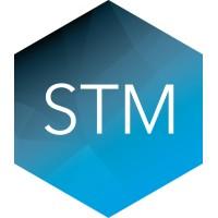 STM GROUP PLC 