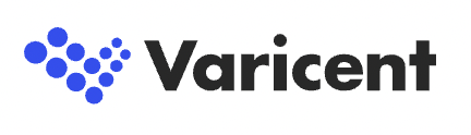 Varicent Software